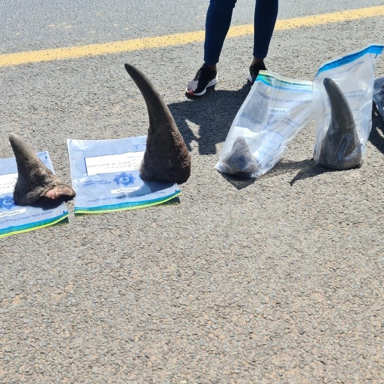 A vehicle was searched by SAPS and they found four rhino horns hidden in the bonnet to the value of R870 000