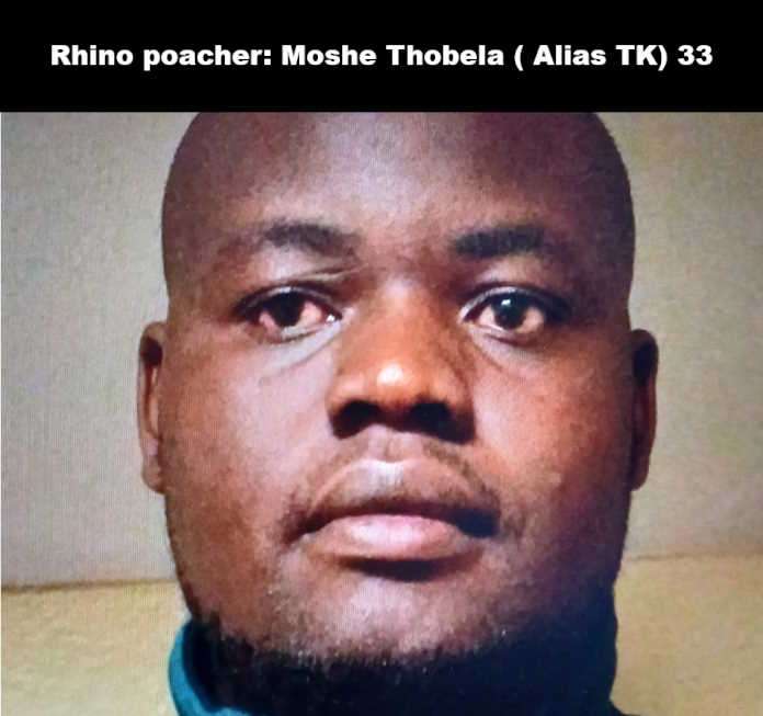 Rhino poacher convicted and sentenced