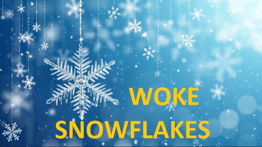 woke snowflakes